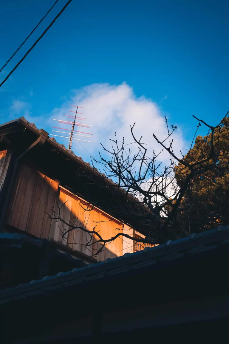 DSC03756