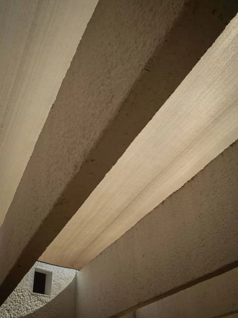 R0005856